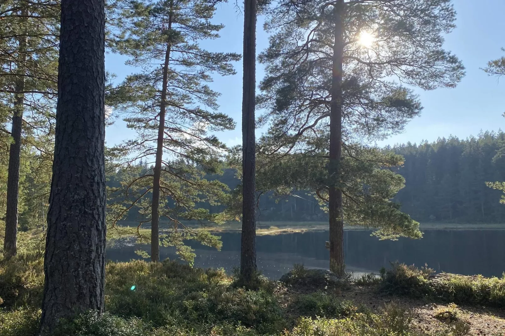 4 sterren vakantie huis in GULDSMEDHYTTAN-Buitenlucht