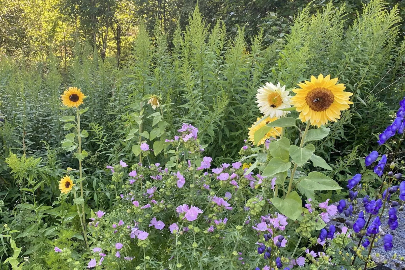 4 sterren vakantie huis in GULDSMEDHYTTAN-Buitenlucht