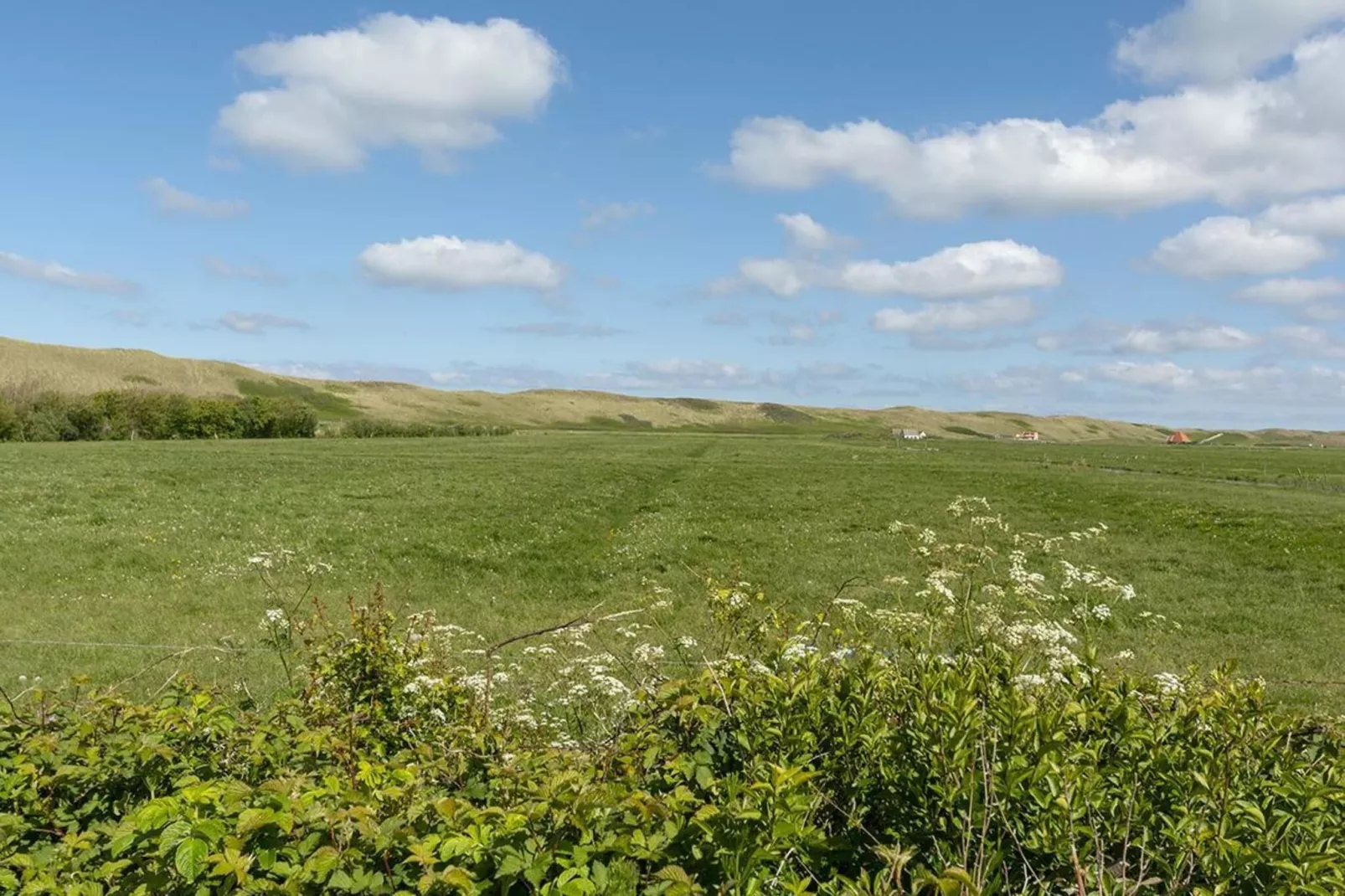 Garnekuul 26-Tuinen zomer
