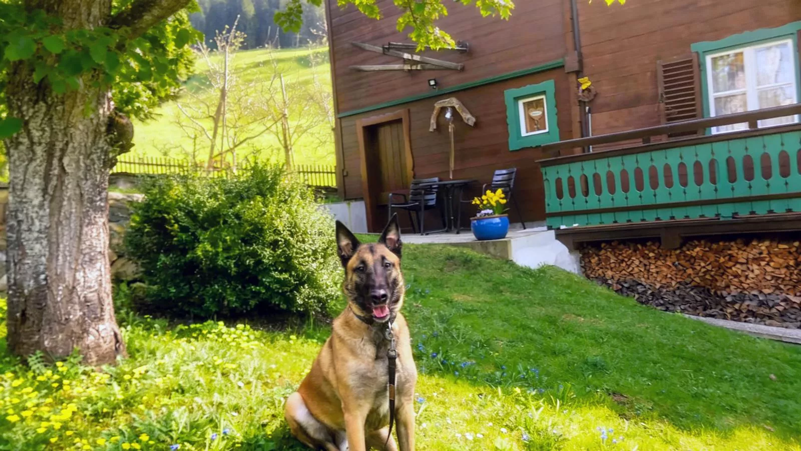 Chalet Anna Bramberg - Tuinen zomer