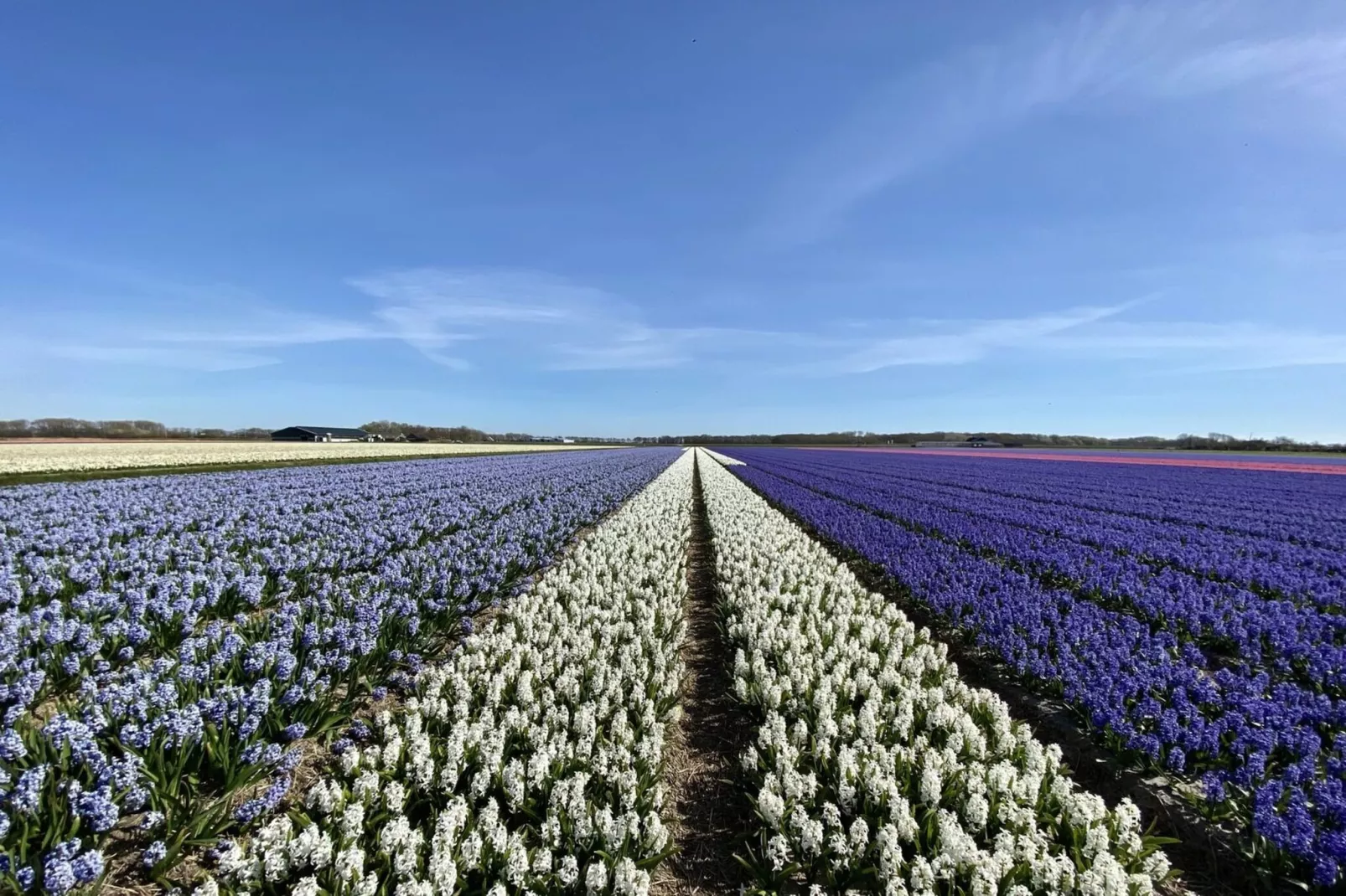Suite Uitwaayer - Gebieden zomer 5km