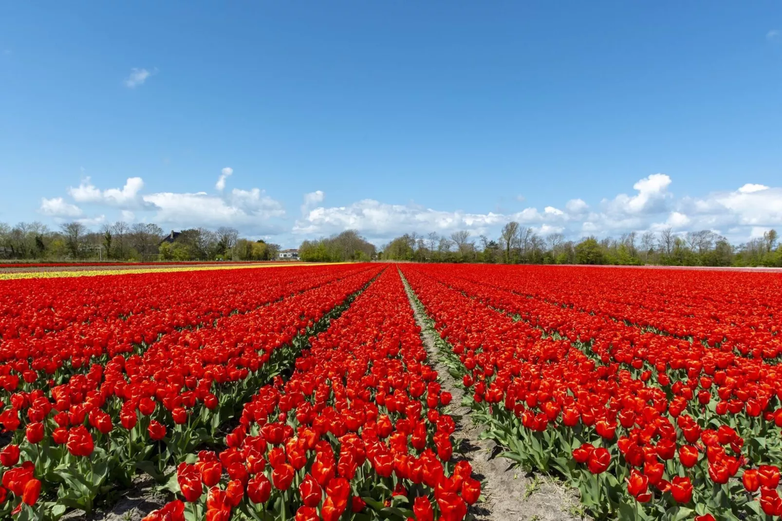 Suite Uitwaayer - Gebieden zomer 5km