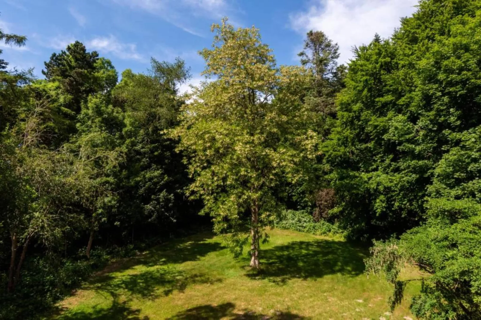 Rugen Suites-Tuinen zomer