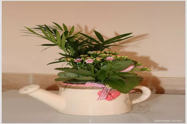 Apartments Juras - Studio Apartment with Sea View (Marija)-Binnen