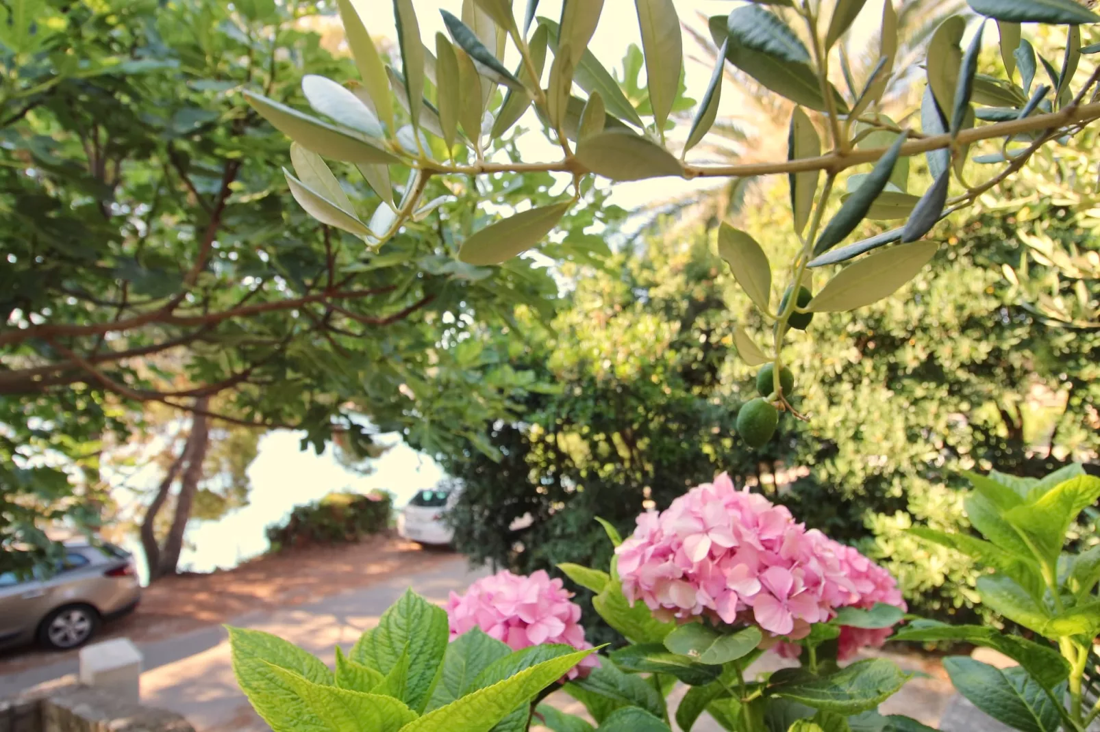 Apartment Kim- Two Bedroom Apartment with Terrace and Sea View-Tuinen zomer