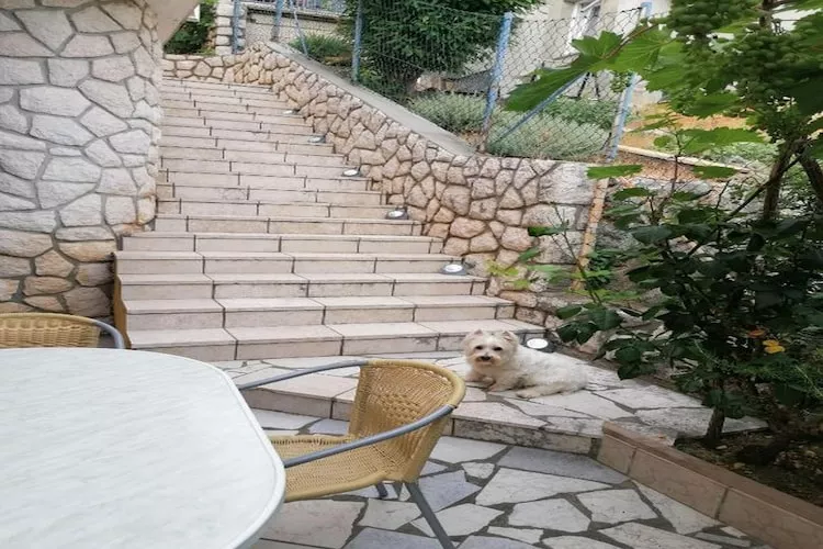 House Panorama - One Bedroom Apartment with Terrace and Sea View (Cezar)-Buitenlucht