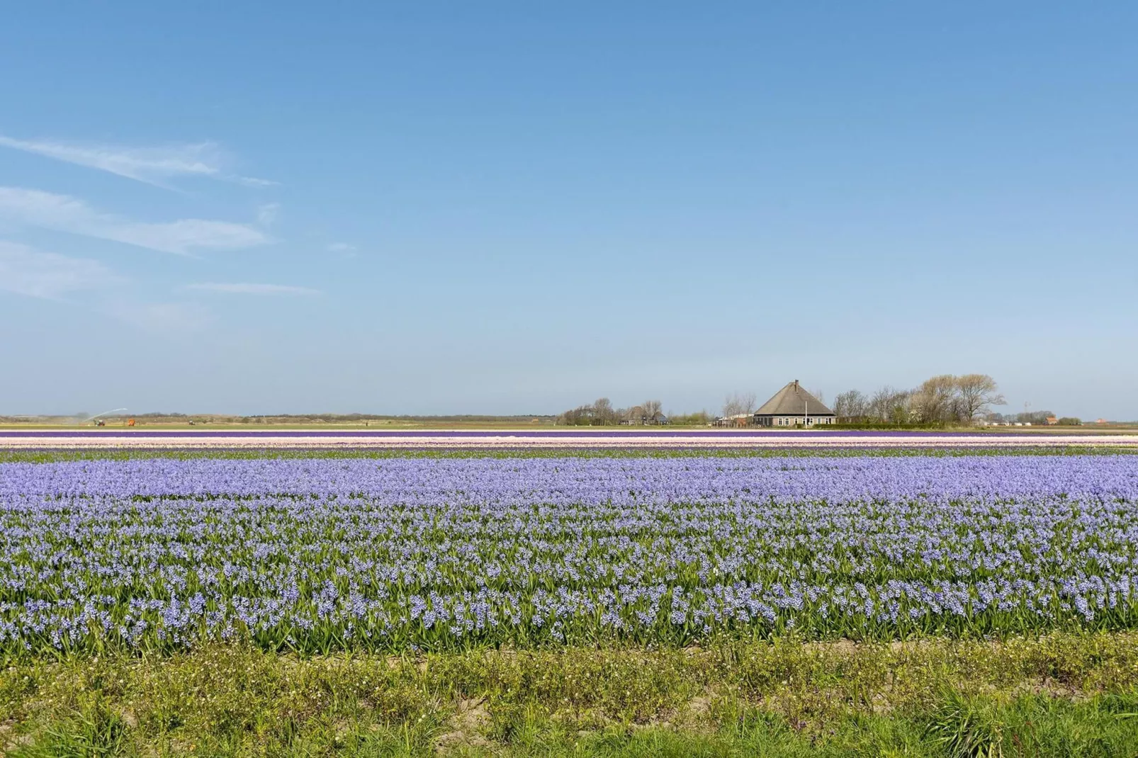 Ooghduyne 148 - Gebieden zomer 1km