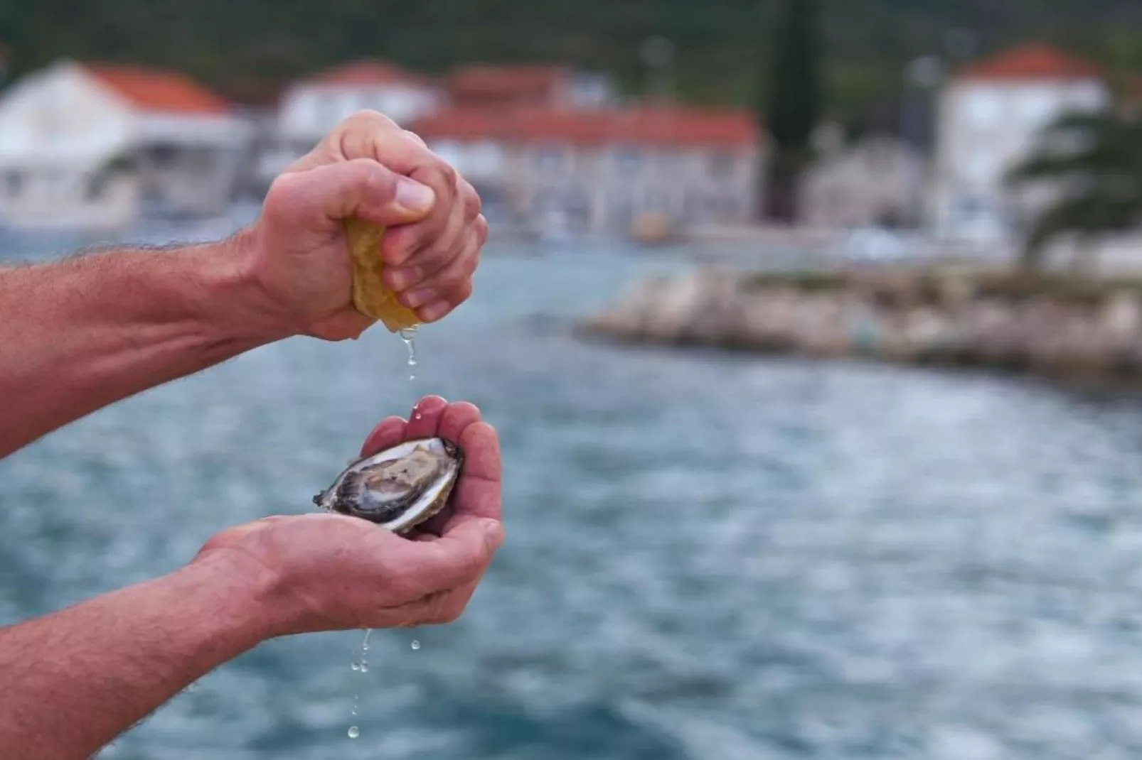 Apartments Kula - One Bedroom Apartment with Terrace C1-Sfeer