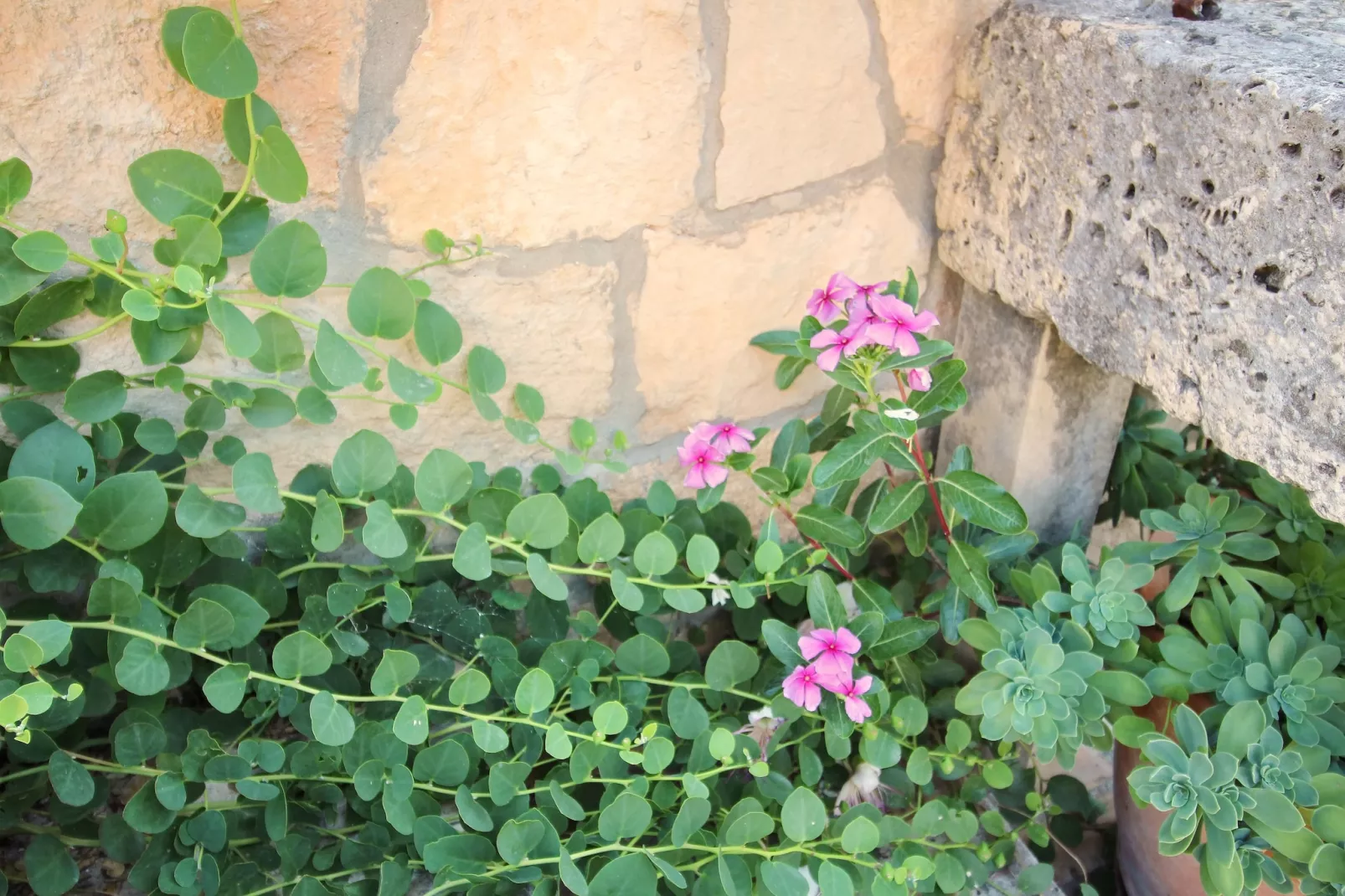 Apartment Kim- Two Bedroom Apartment with Terrace and Sea View-Buitenlucht