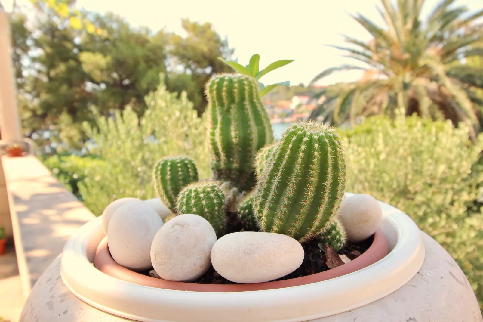 Apartment Kim- Two Bedroom Apartment with Terrace and Sea View-Buitenlucht