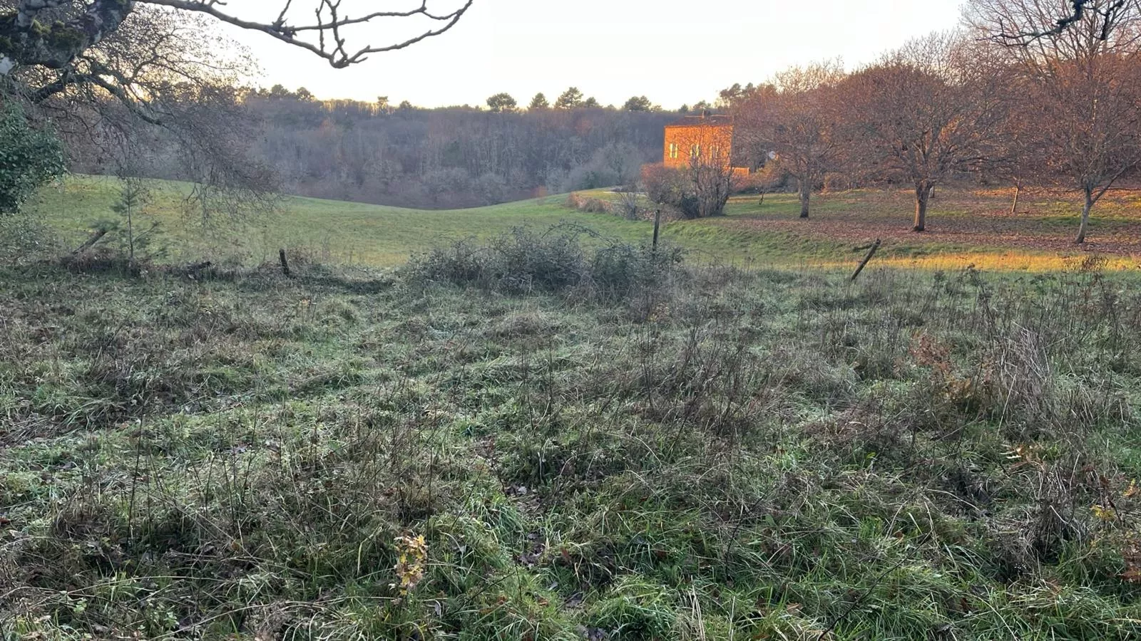Maison Sauveterre - Uitzicht zomer