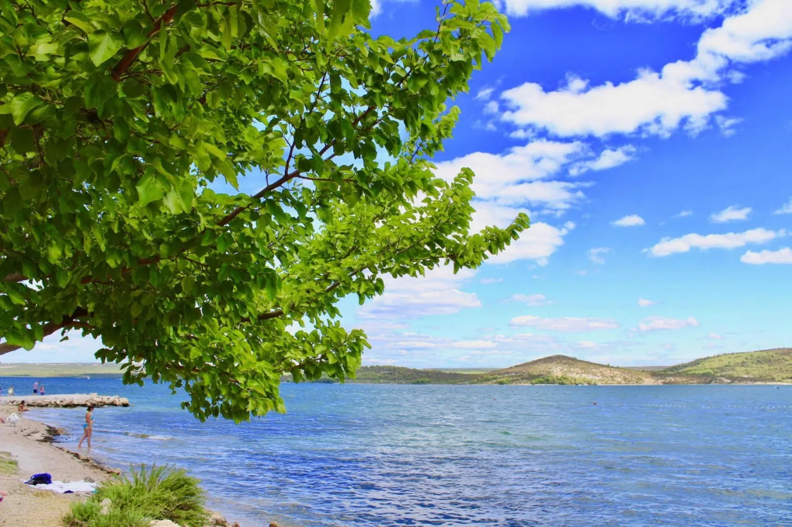 Apartment ALAN Sibenik - Bilice A6-4 - Gebieden zomer 1km