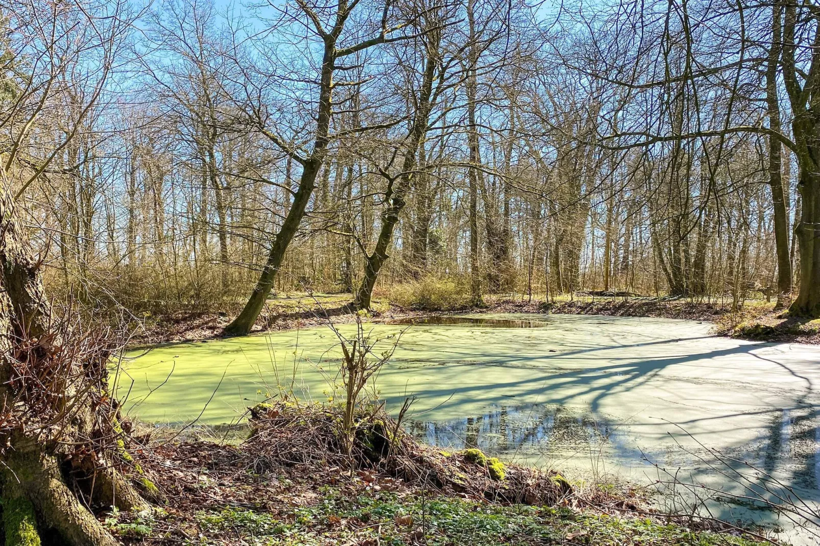 4 persoons vakantie huis in Tønder-By Traum-Waterzicht