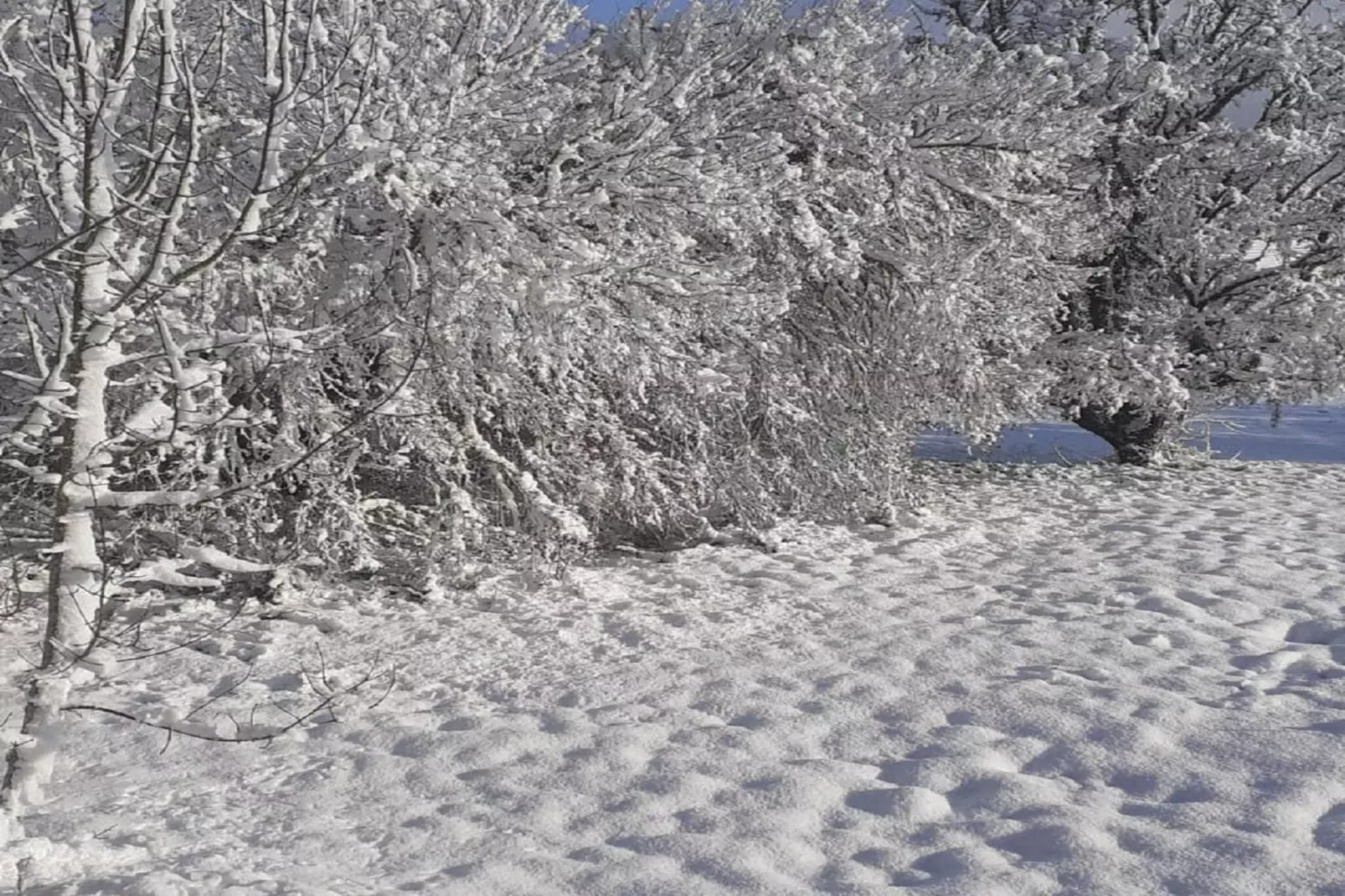 Le Place - Gebied winter 1km