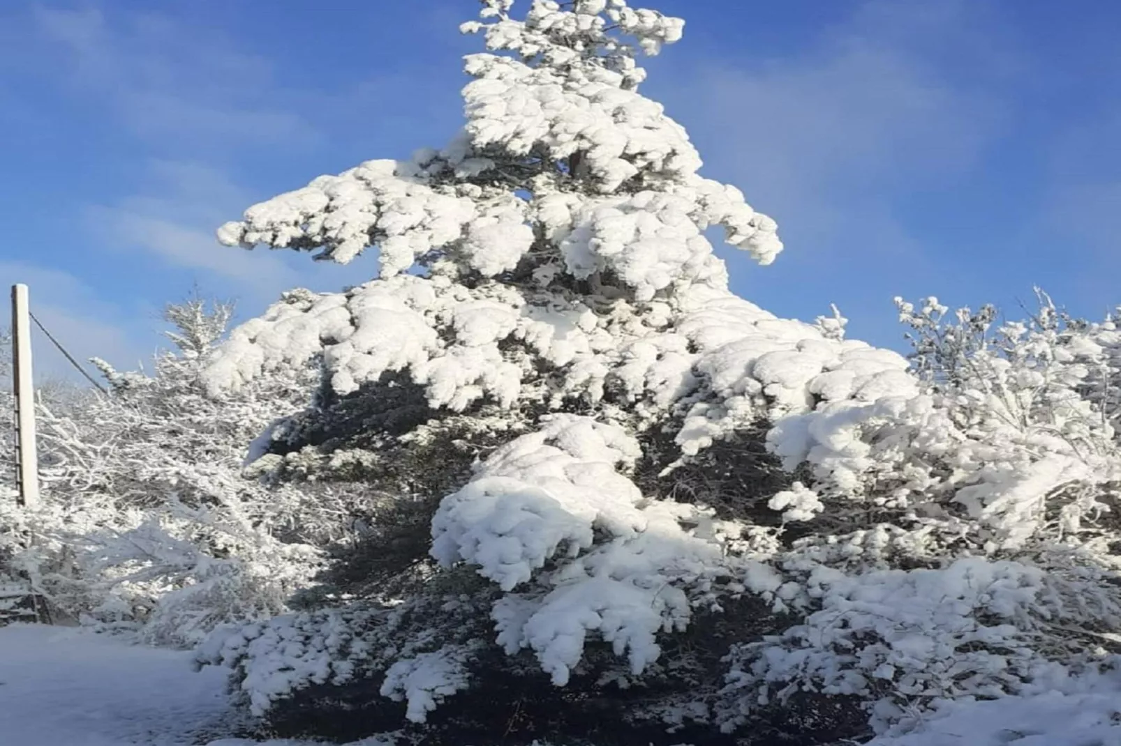 Le Place - Gebied winter 1km