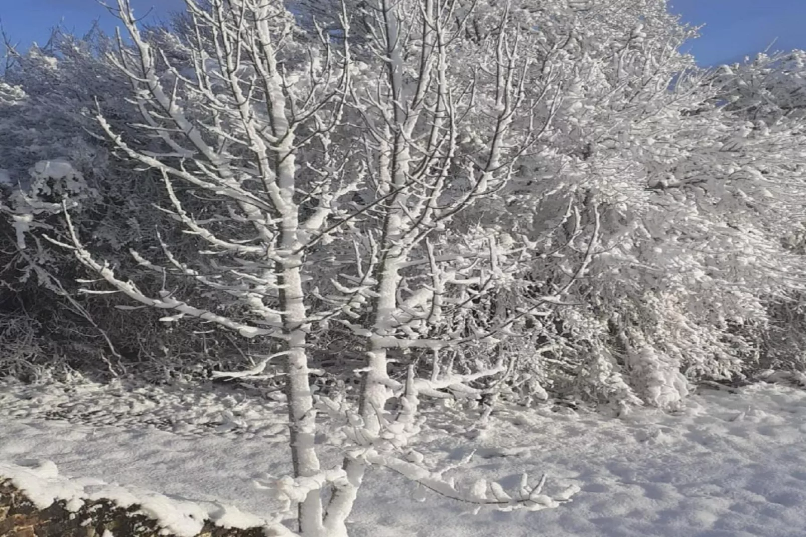 Le Place - Gebied winter 1km