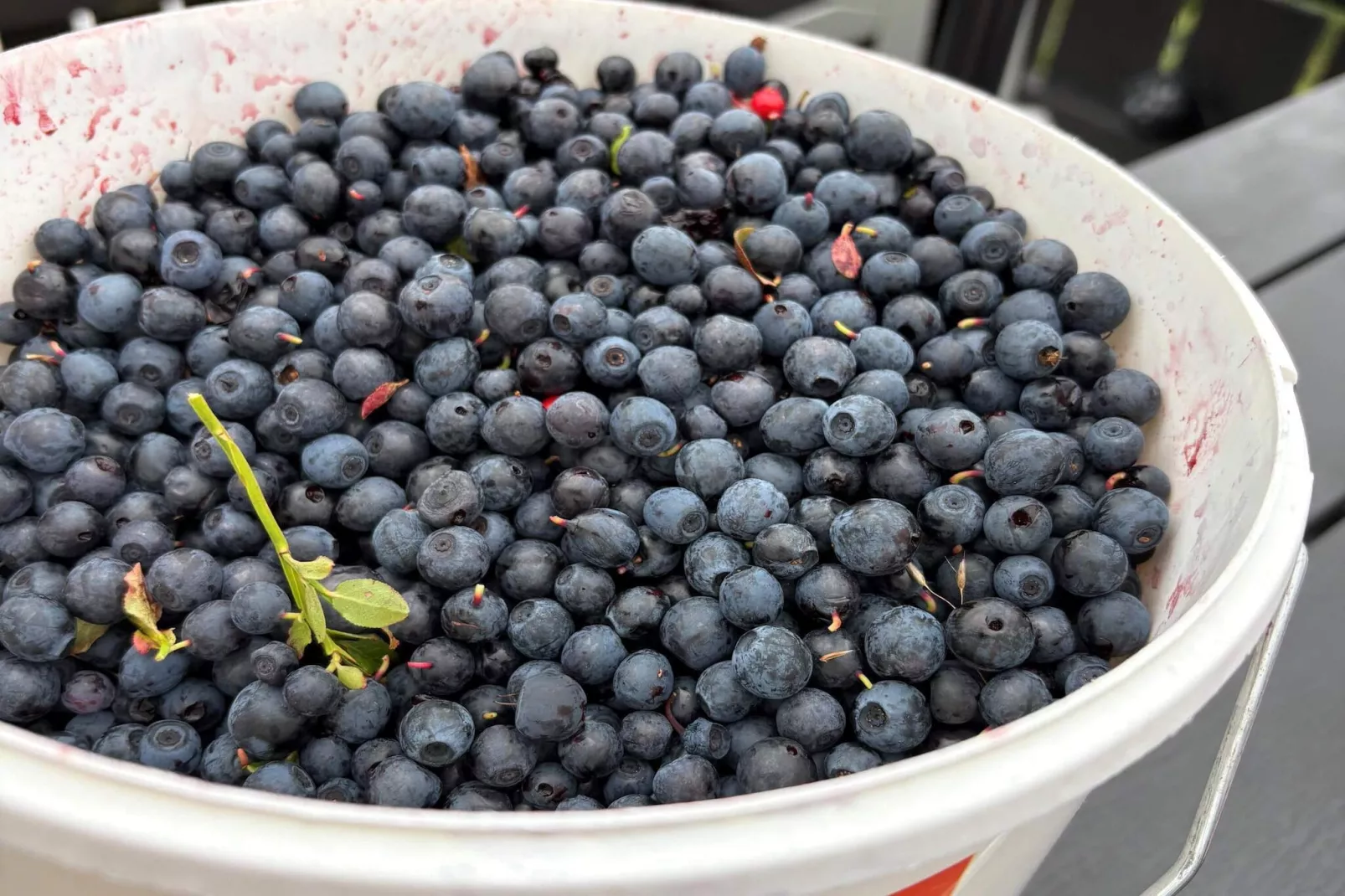 8 Personen vakantie huis in frosta - Niet-getagd