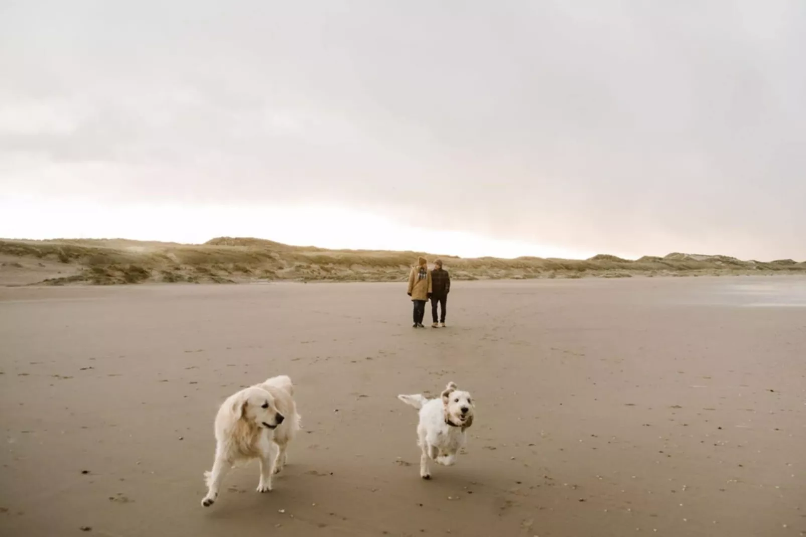 Juttershut Duynpark - Callantsoog