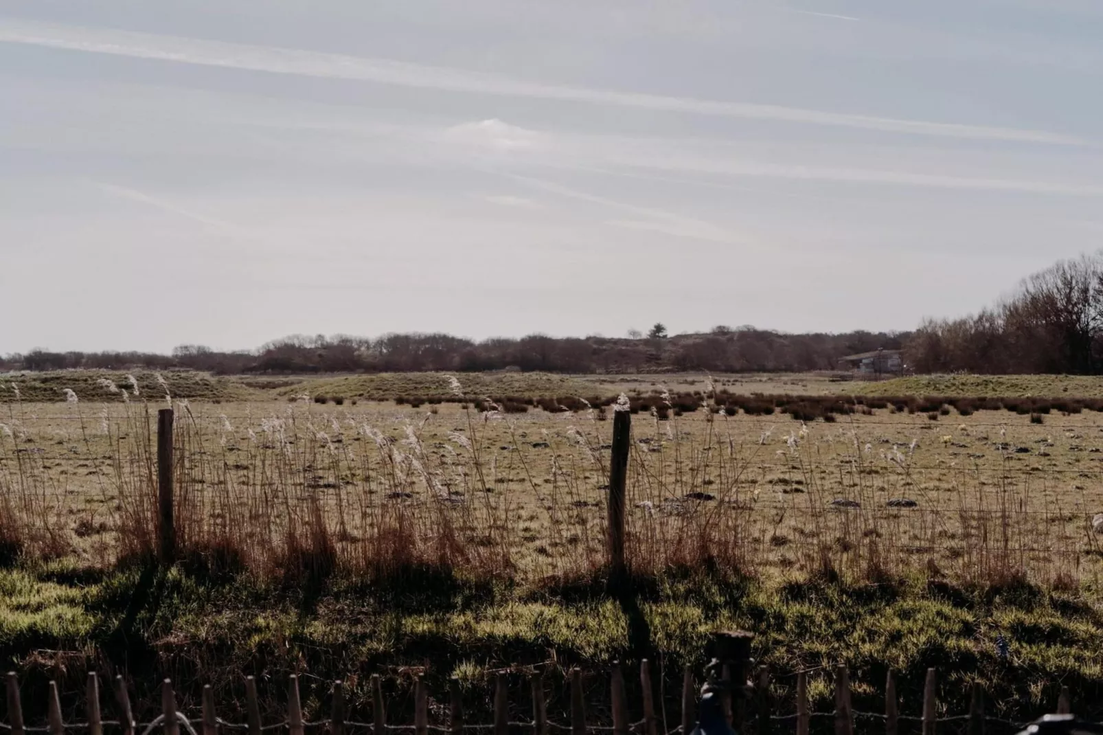 Juttershut Duynpark - Callantsoog-Uitzicht