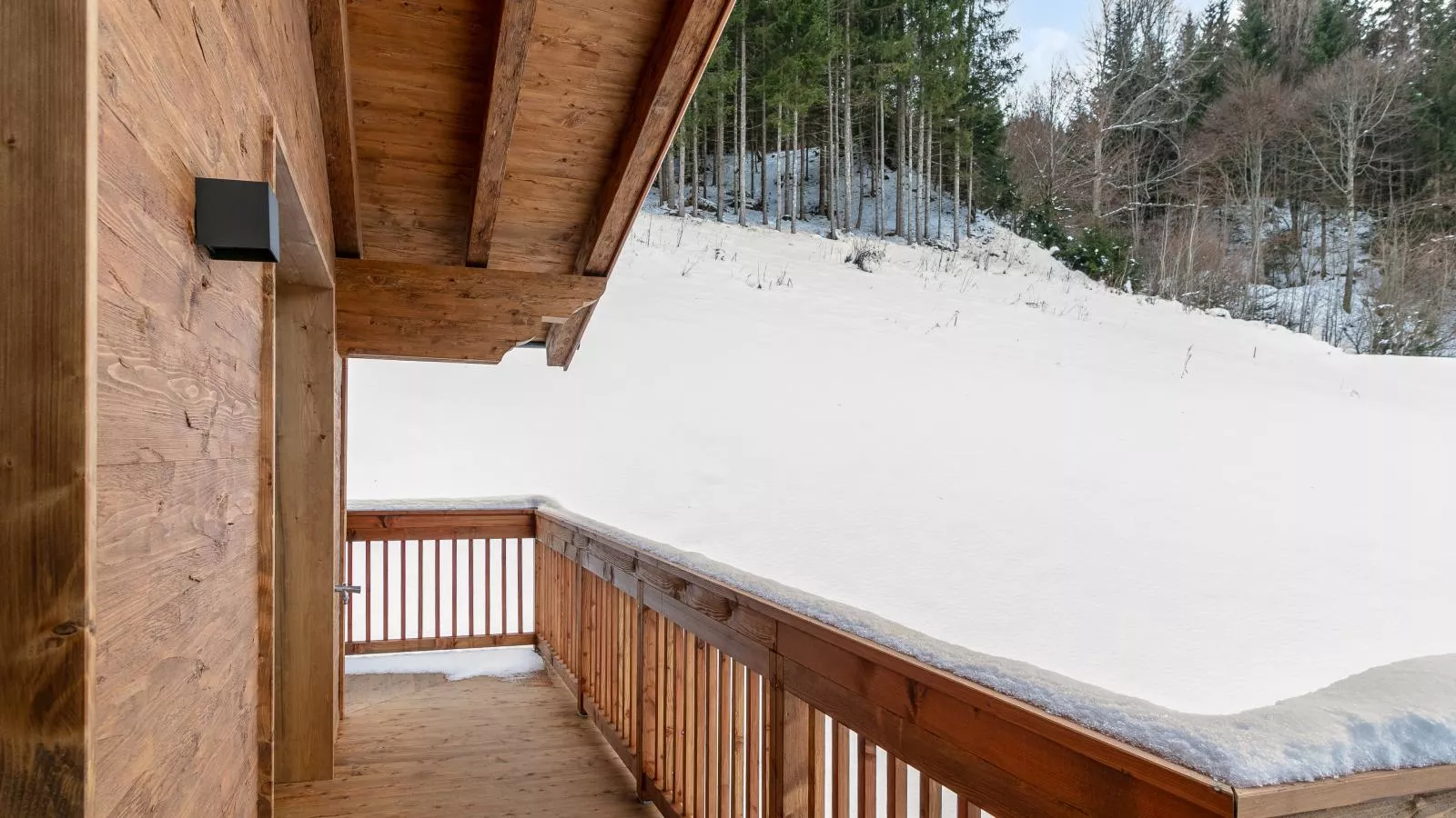 Tauernlodge Eben D4-Terrasbalkon