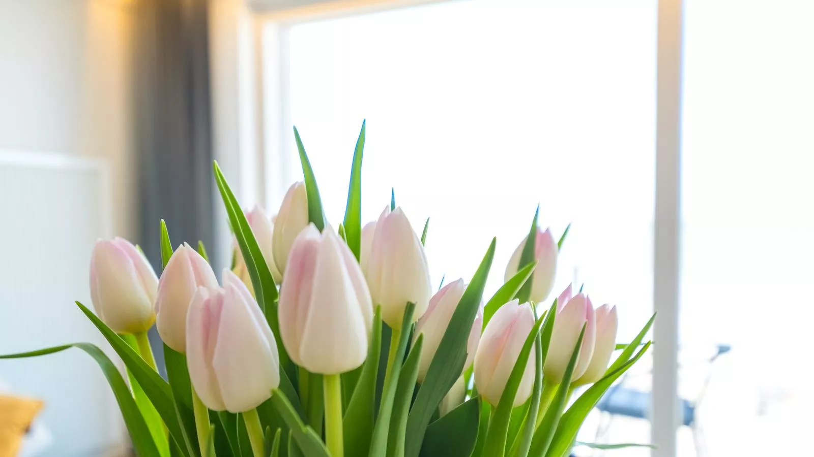 Emperador - 0401 -Binnen