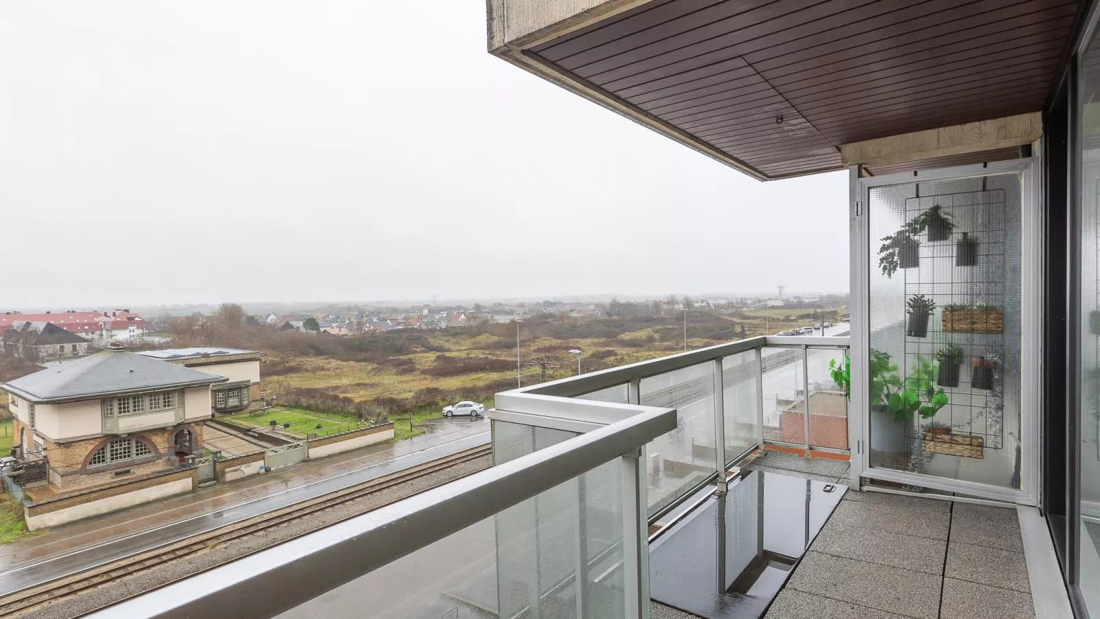 Brisbane II - 0403 + box 59 (Zeegalm)-Buitenlucht