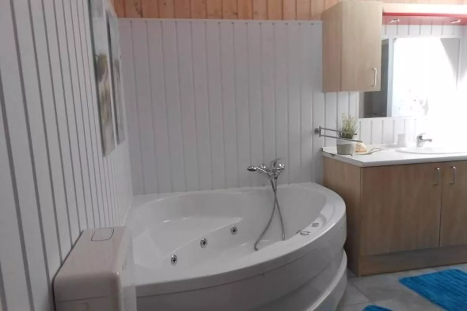 Haubentaucher 80-Badkamer