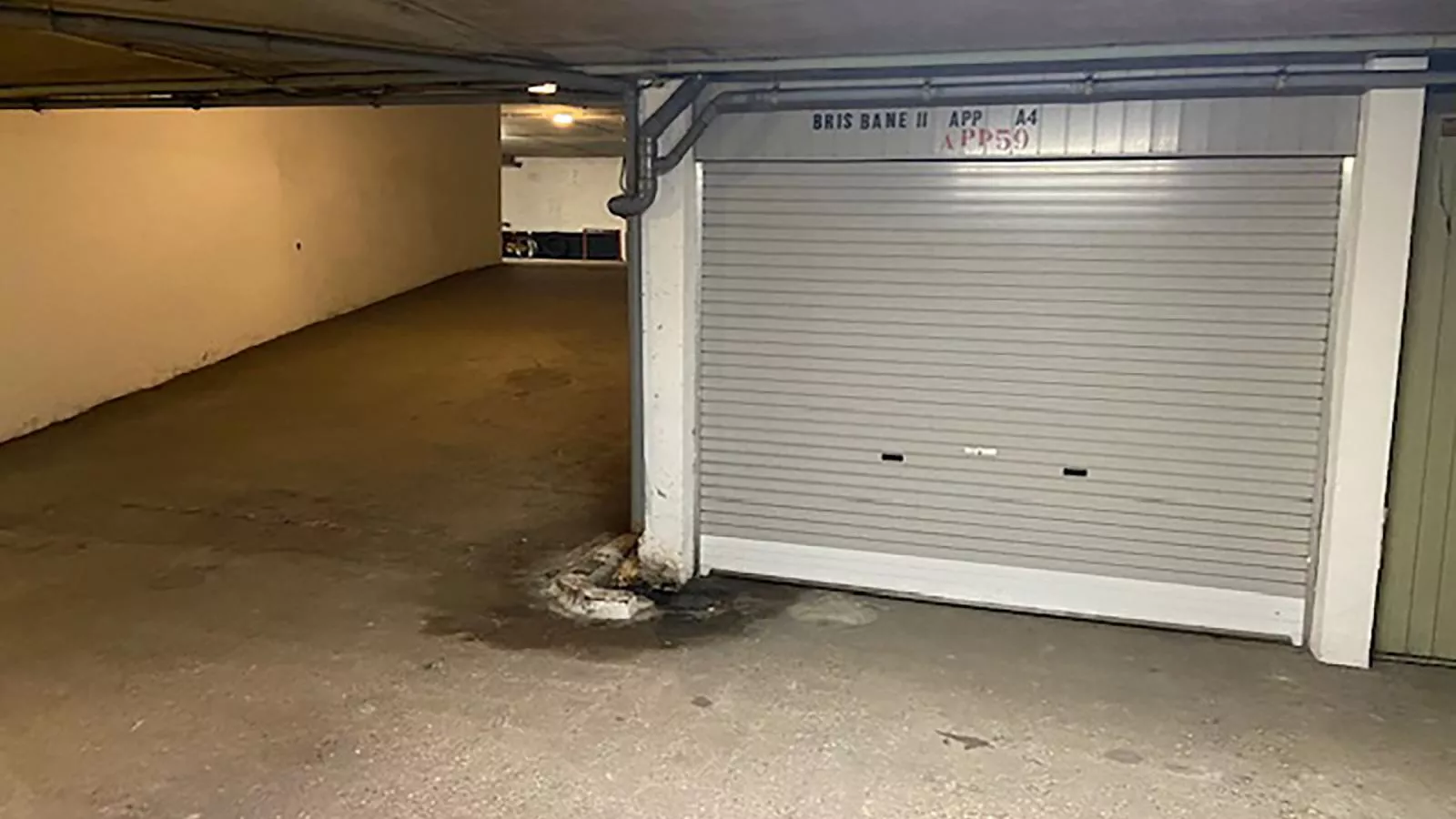 Brisbane II - 0403 + box 59 (Zeegalm)-Buitenlucht