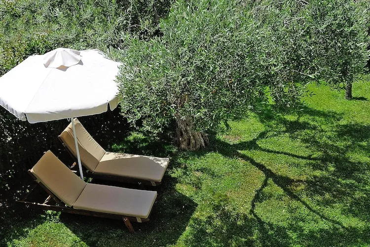 Holiday homes Trikorfo Beach, Gerakini-Panorama Junior, pax 2-4 - Tuinen zomer