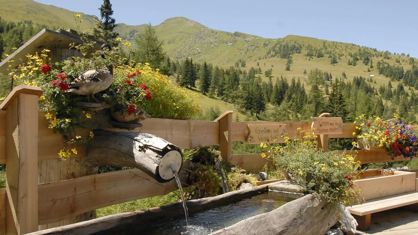 Ski Nature Apartment Lungau Top 1-Gebieden zomer 5km