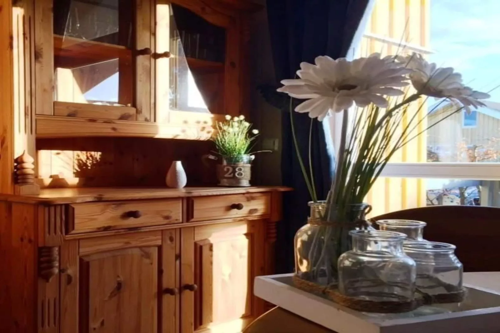 Haubentaucher 80-Sfeer