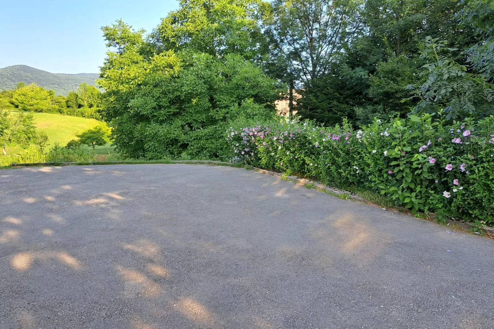 Guesthouse Žafran- Two Bedroom Apartment - Tuinen zomer