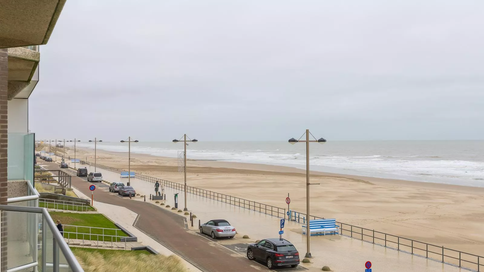 Duinroos - 0204 + park. 0204