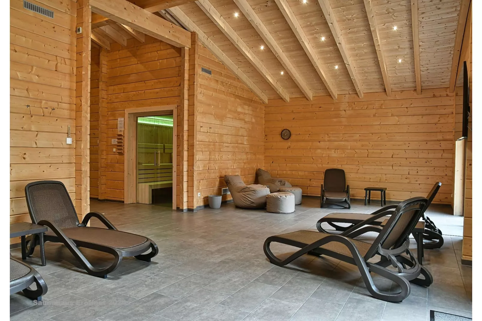 Ferienhaus in Hasselfelde - Haus 56 Blauvogel-Wellness