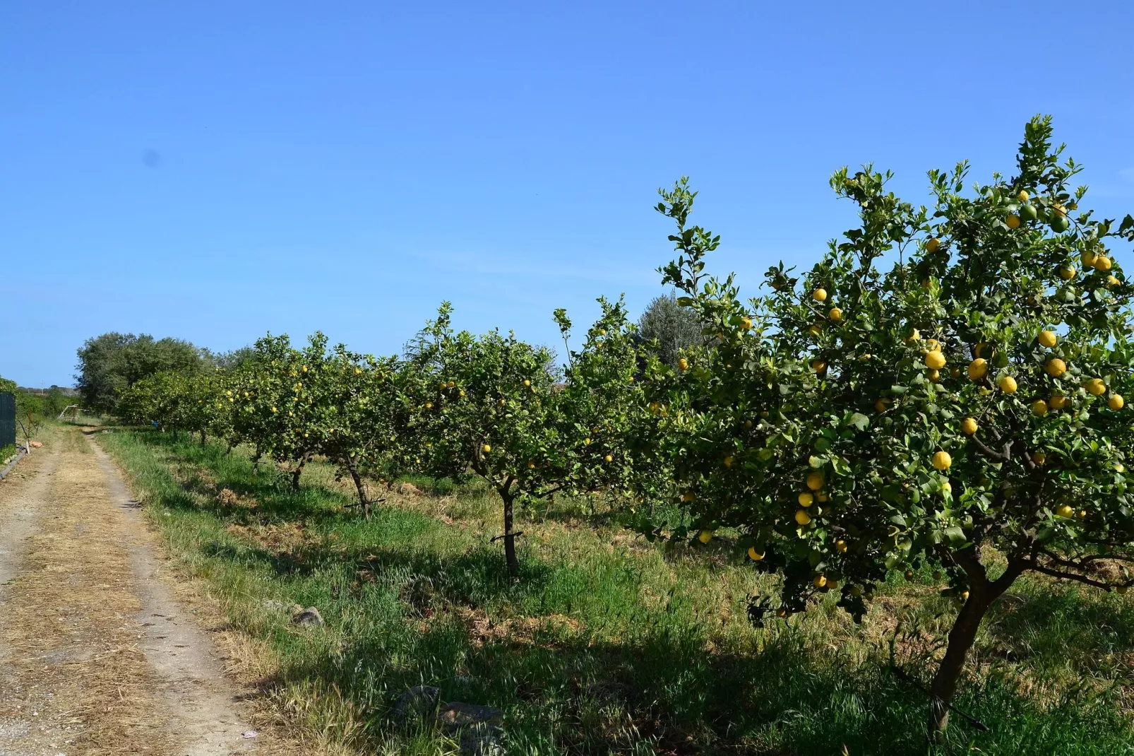 Villa Floridia Siracusa-Gebieden zomer 5km