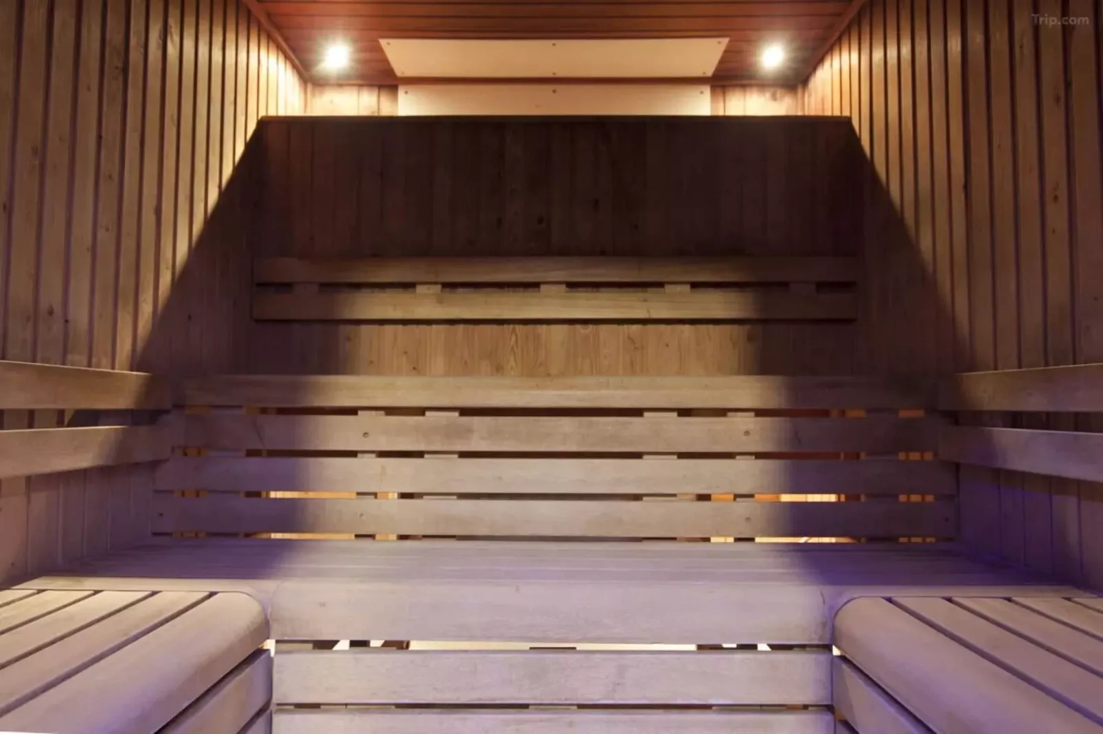 Standard Family of 3 Room-Wellness