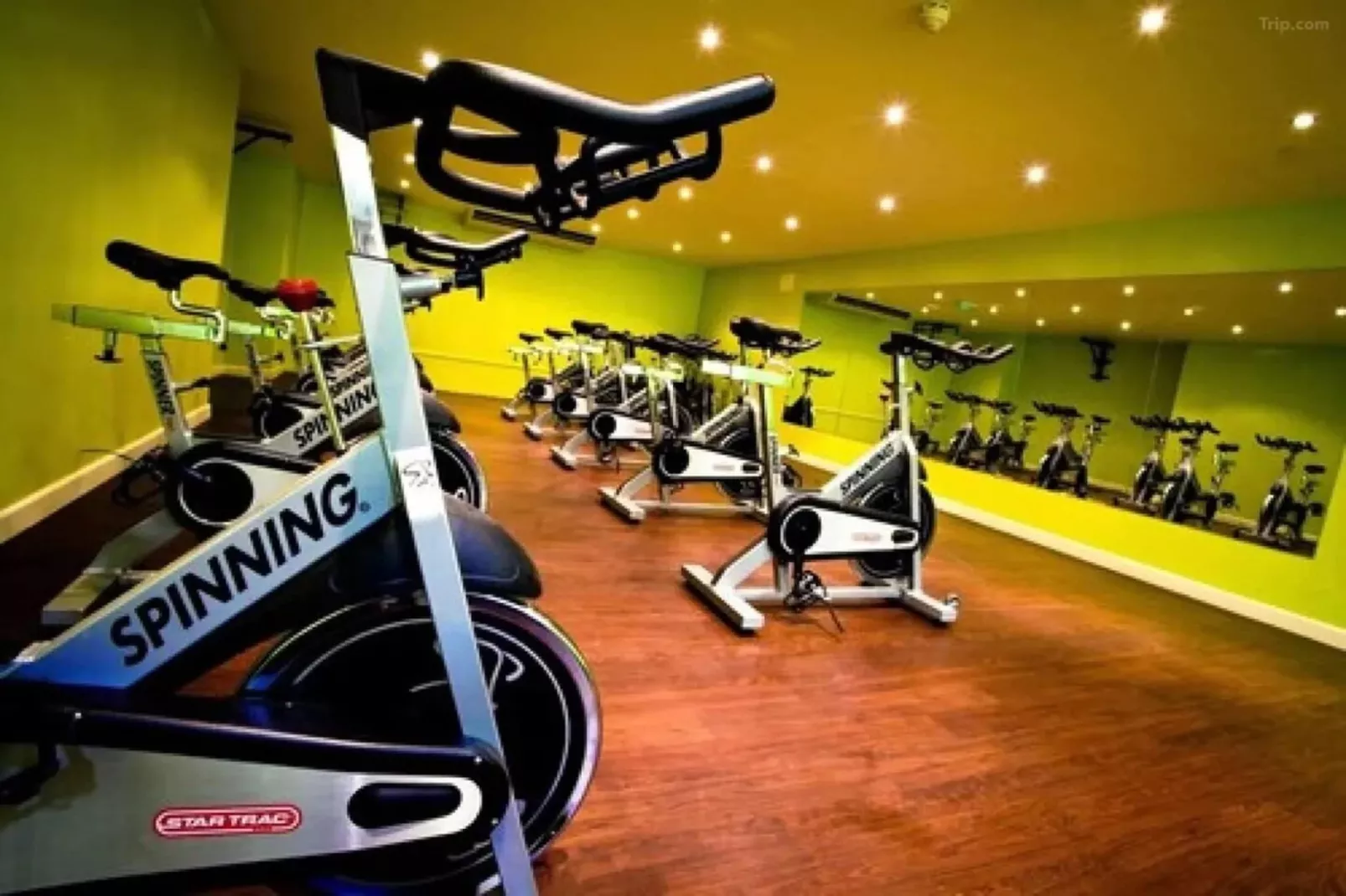 Standard Family of 3 Room-Wellness