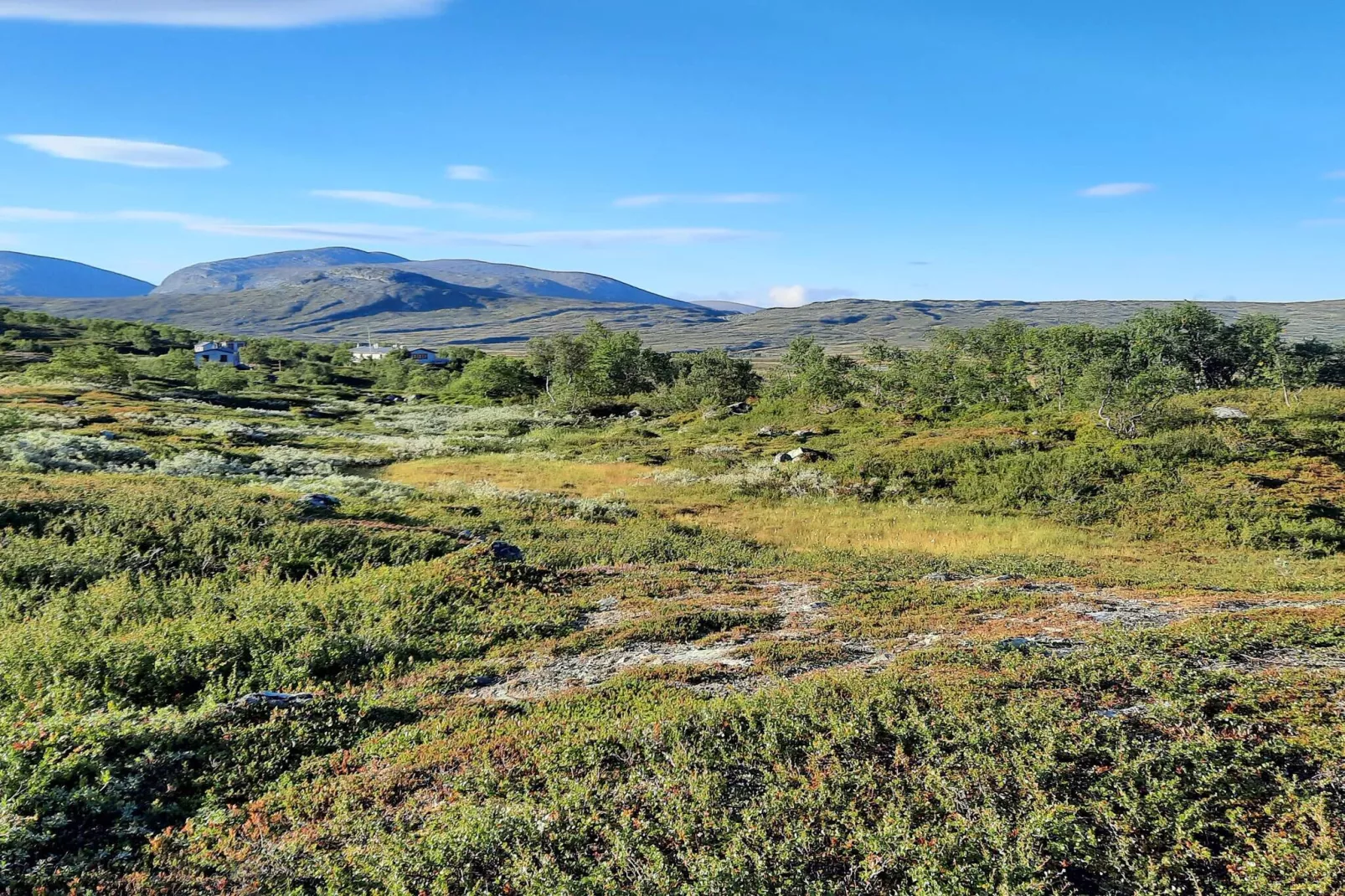 5 sterren vakantie huis in Sälen