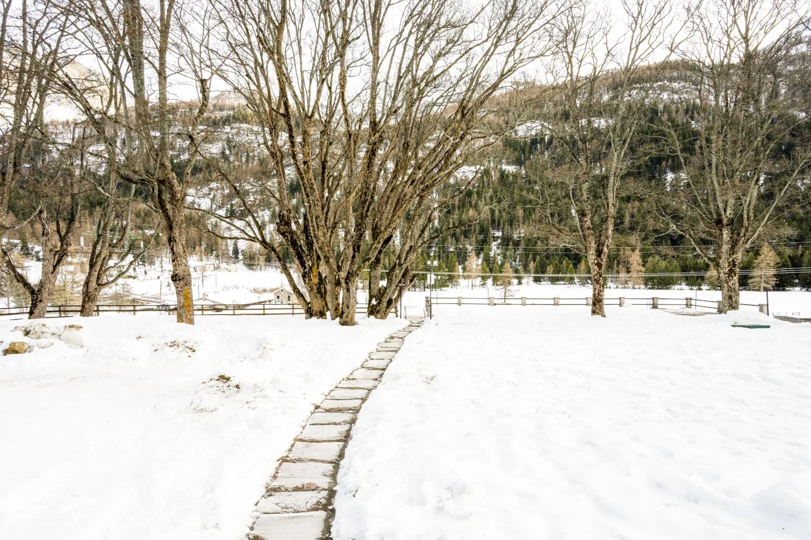 TRILO 1 CERESOLE - Uitzicht winter