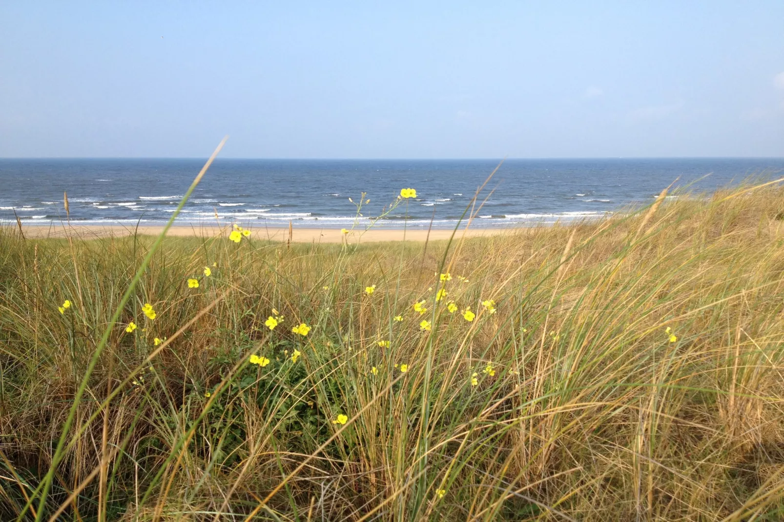 Bergens Roodborstje-Gebieden zomer 5km