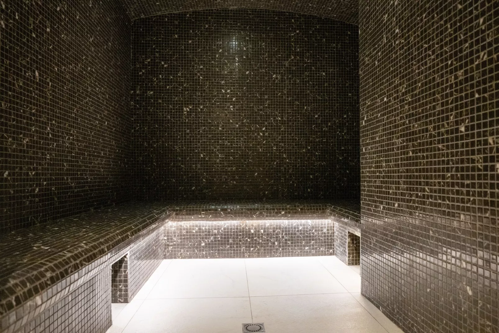 AS-96-FAUCIGNY - Sauna