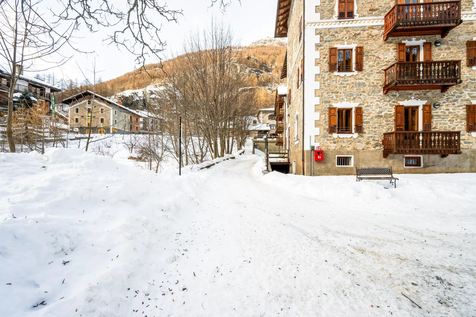 TRILO 1 CERESOLE - Tuin winter