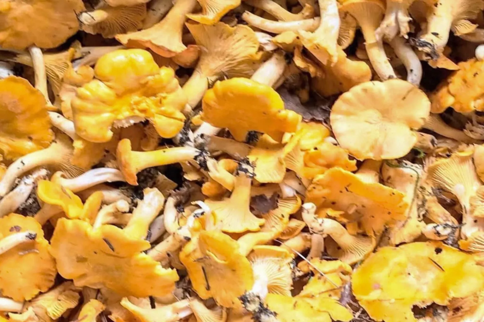 6 persoons vakantie huis in Brålanda-By Traum - Niet-getagd