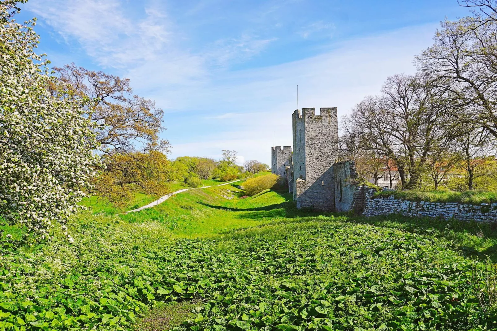 6 persoons vakantie huis in GOTLANDS TOFTA-Niet-getagd