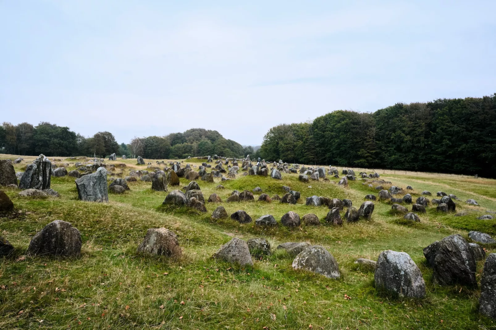 Jomfru Ane Premium Double - Gebieden zomer 20km