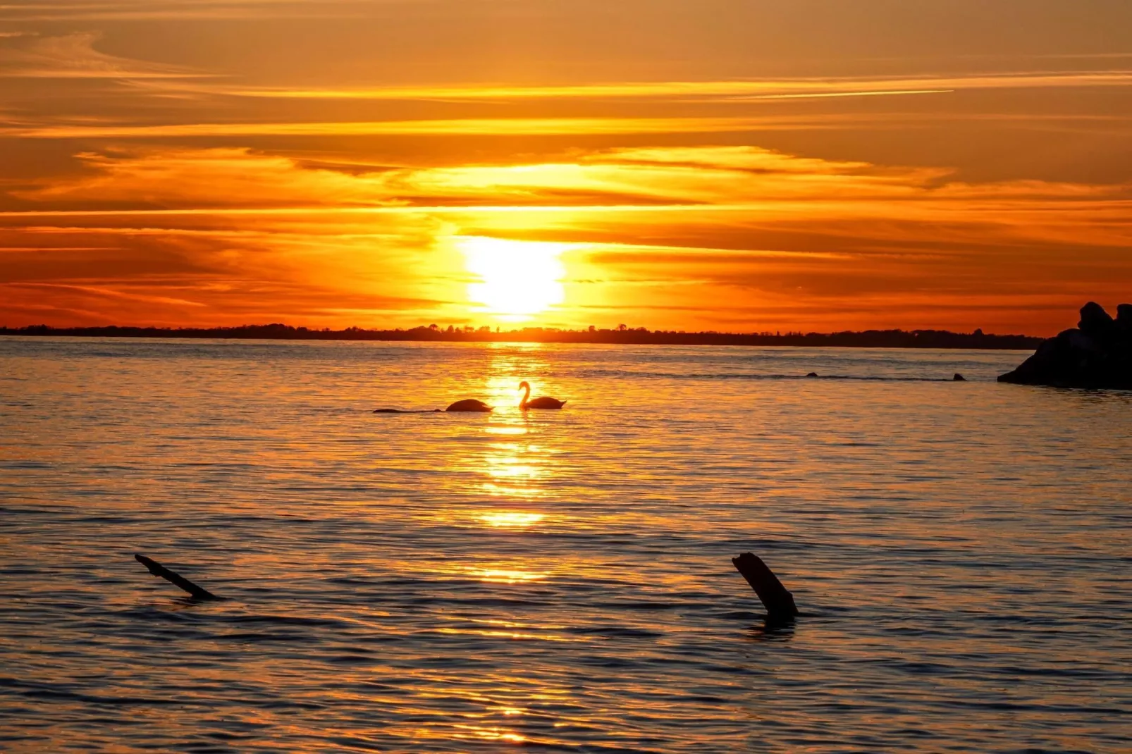 Rugen Double Room - Disability Access - Gebieden zomer 20km