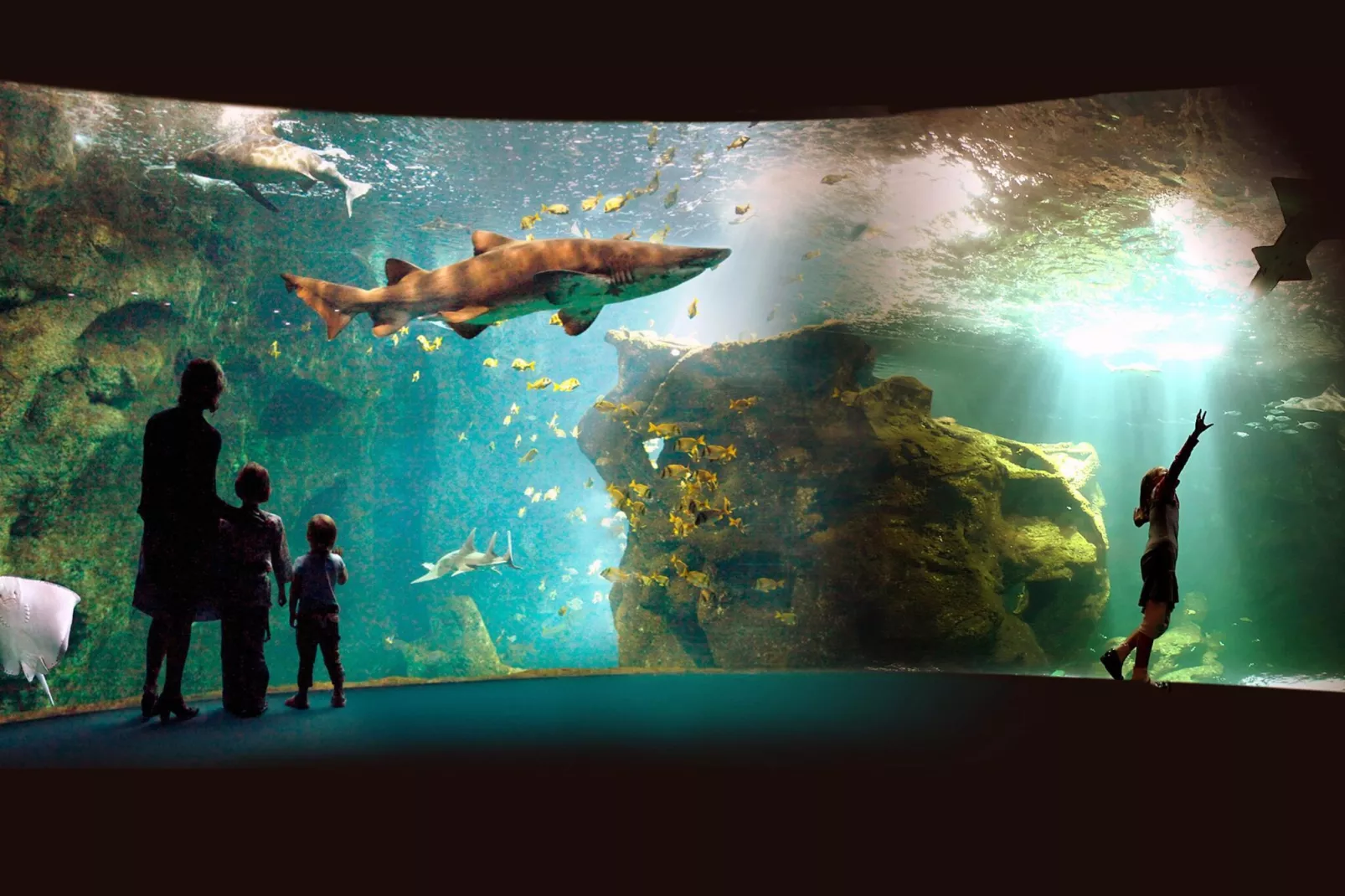 L'Aveneau - Vieille Vigne 2 - Gebieden zomer 1km