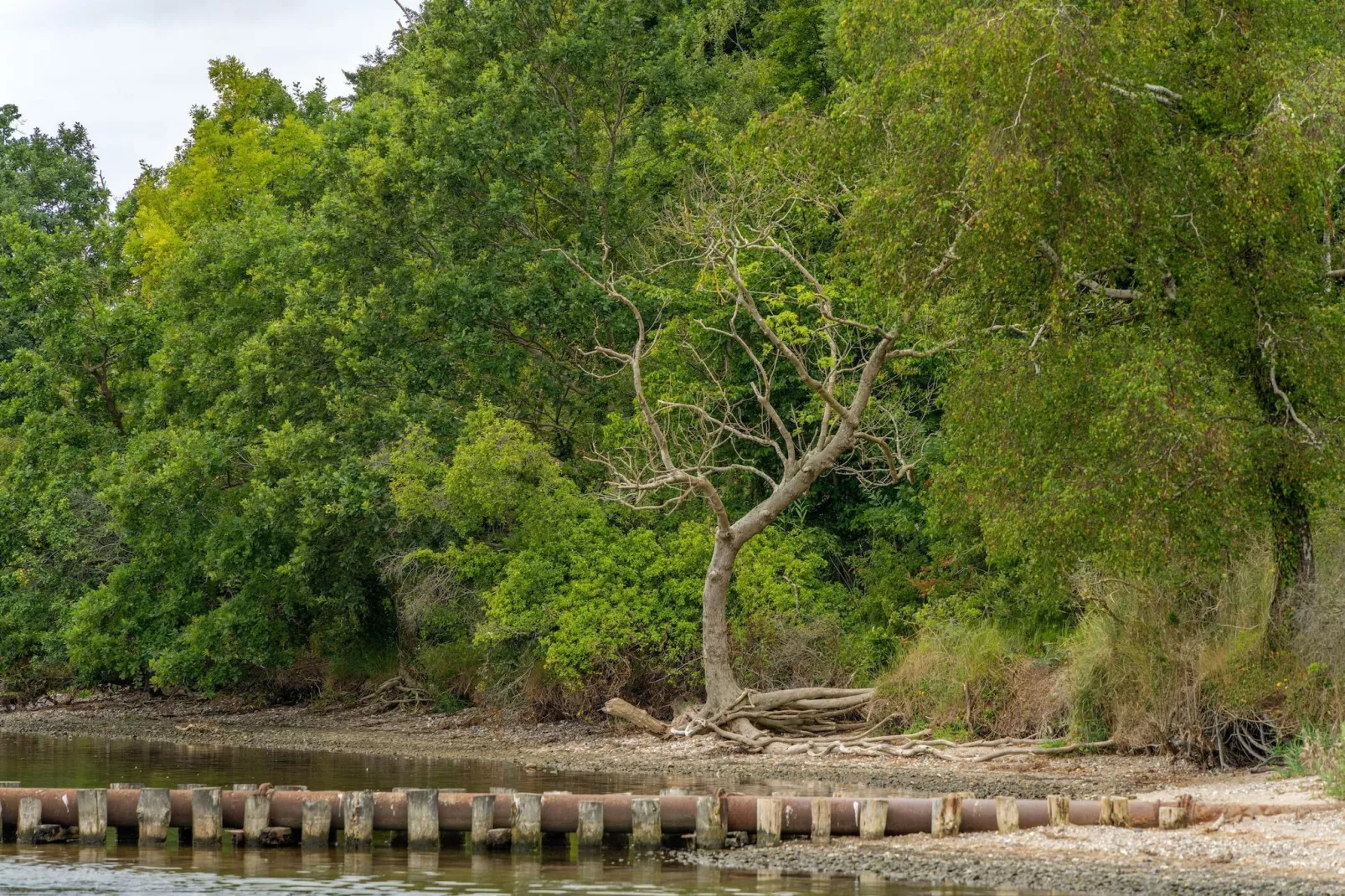 Rugen Suites - Gebieden zomer 20km