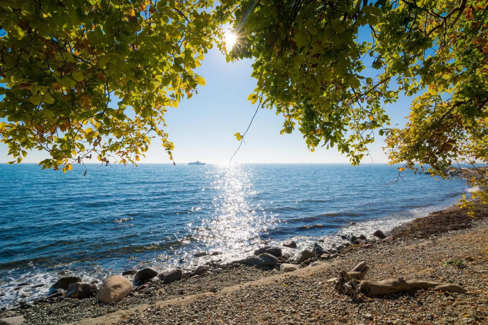 Rugen Standard Double Room - Gebieden zomer 20km