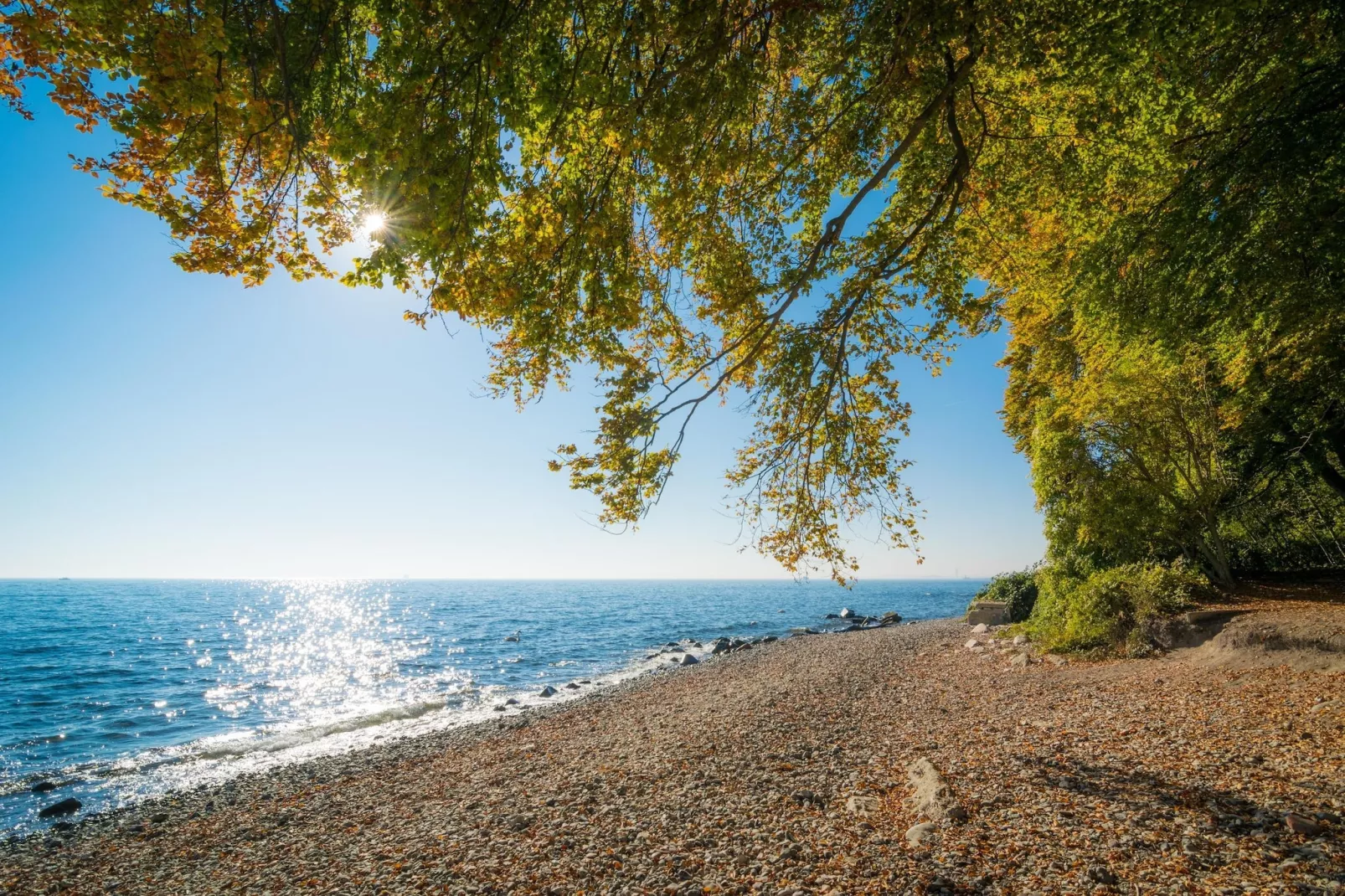 Rugen Superior Double Room - Gebieden zomer 20km